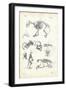 Cat, 1863-79-Raimundo Petraroja-Framed Giclee Print