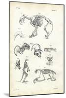 Cat, 1863-79-Raimundo Petraroja-Mounted Giclee Print