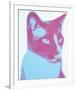 Cat, 1976-Andy Warhol-Framed Art Print