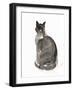 Cat, 1985-Claudia Hutchins-Puechavy-Framed Giclee Print