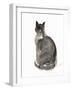 Cat, 1985-Claudia Hutchins-Puechavy-Framed Giclee Print
