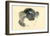 Cat, 1985-Claudia Hutchins-Puechavy-Framed Giclee Print