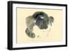 Cat, 1985-Claudia Hutchins-Puechavy-Framed Giclee Print