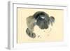 Cat, 1985-Claudia Hutchins-Puechavy-Framed Giclee Print