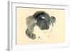 Cat, 1985-Claudia Hutchins-Puechavy-Framed Giclee Print