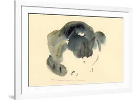 Cat, 1985-Claudia Hutchins-Puechavy-Framed Giclee Print