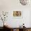 Cat Abstract-Ata Alishahi-Framed Giclee Print displayed on a wall