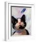 Cat and Butterfly-Diane Hoeptner-Framed Art Print