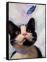 Cat and Butterfly-Diane Hoeptner-Framed Stretched Canvas