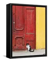 Cat and Colorful Doorway, Valparaiso, Chile-Scott T. Smith-Framed Stretched Canvas