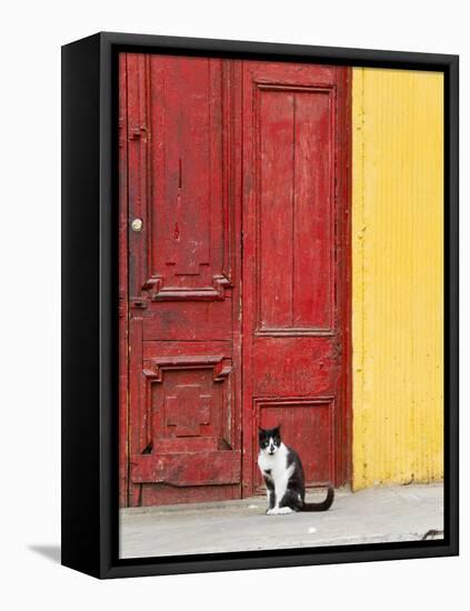 Cat and Colorful Doorway, Valparaiso, Chile-Scott T. Smith-Framed Stretched Canvas