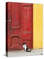 Cat and Colorful Doorway, Valparaiso, Chile-Scott T. Smith-Stretched Canvas