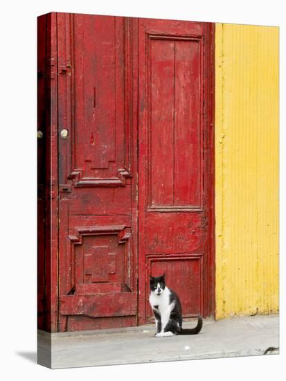 Cat and Colorful Doorway, Valparaiso, Chile-Scott T. Smith-Stretched Canvas