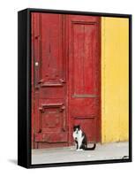 Cat and Colorful Doorway, Valparaiso, Chile-Scott T. Smith-Framed Stretched Canvas