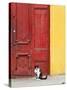 Cat and Colorful Doorway, Valparaiso, Chile-Scott T. Smith-Stretched Canvas