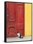 Cat and Colorful Doorway, Valparaiso, Chile-Scott T. Smith-Framed Stretched Canvas