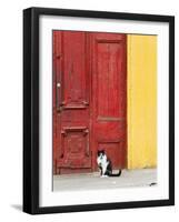 Cat and Colorful Doorway, Valparaiso, Chile-Scott T. Smith-Framed Photographic Print