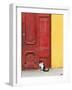 Cat and Colorful Doorway, Valparaiso, Chile-Scott T. Smith-Framed Photographic Print