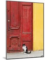 Cat and Colorful Doorway, Valparaiso, Chile-Scott T. Smith-Mounted Photographic Print