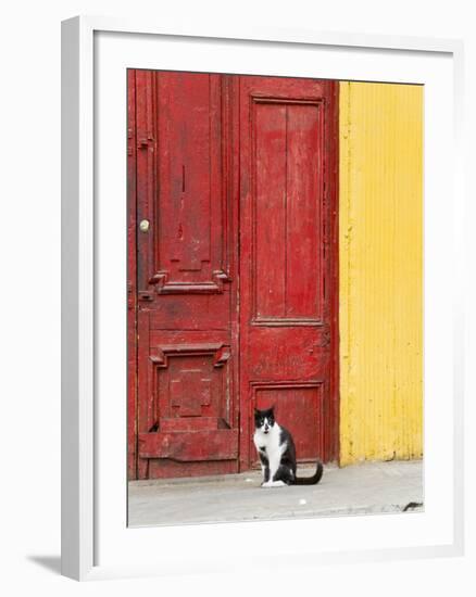 Cat and Colorful Doorway, Valparaiso, Chile-Scott T. Smith-Framed Photographic Print