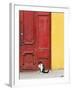 Cat and Colorful Doorway, Valparaiso, Chile-Scott T. Smith-Framed Photographic Print