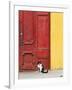 Cat and Colorful Doorway, Valparaiso, Chile-Scott T. Smith-Framed Photographic Print