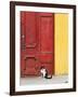 Cat and Colorful Doorway, Valparaiso, Chile-Scott T. Smith-Framed Photographic Print