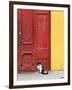 Cat and Colorful Doorway, Valparaiso, Chile-Scott T. Smith-Framed Photographic Print