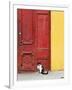 Cat and Colorful Doorway, Valparaiso, Chile-Scott T. Smith-Framed Photographic Print