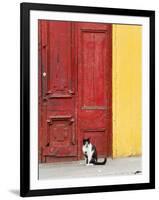 Cat and Colorful Doorway, Valparaiso, Chile-Scott T. Smith-Framed Photographic Print