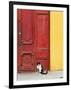 Cat and Colorful Doorway, Valparaiso, Chile-Scott T. Smith-Framed Photographic Print