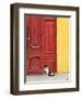 Cat and Colorful Doorway, Valparaiso, Chile-Scott T. Smith-Framed Premium Photographic Print