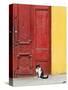 Cat and Colorful Doorway, Valparaiso, Chile-Scott T. Smith-Stretched Canvas