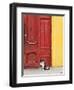 Cat and Colorful Doorway, Valparaiso, Chile-Scott T. Smith-Framed Photographic Print