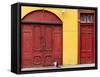 Cat and Colorful Doorways, Valparaiso, Chile-Scott T. Smith-Framed Stretched Canvas