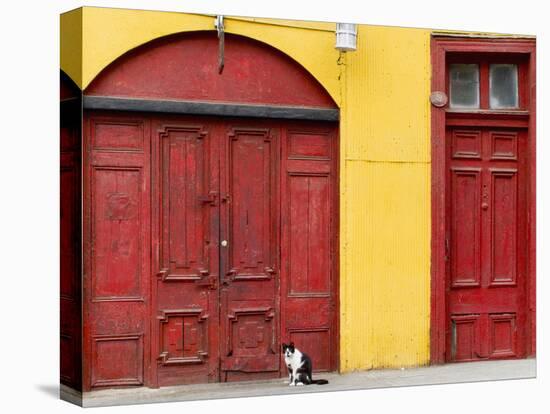 Cat and Colorful Doorways, Valparaiso, Chile-Scott T. Smith-Stretched Canvas