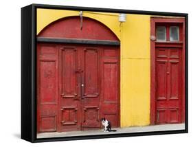 Cat and Colorful Doorways, Valparaiso, Chile-Scott T. Smith-Framed Stretched Canvas