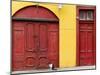 Cat and Colorful Doorways, Valparaiso, Chile-Scott T. Smith-Mounted Photographic Print