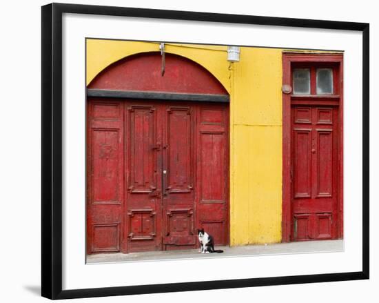 Cat and Colorful Doorways, Valparaiso, Chile-Scott T. Smith-Framed Photographic Print