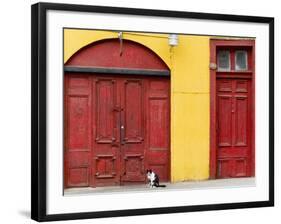 Cat and Colorful Doorways, Valparaiso, Chile-Scott T. Smith-Framed Photographic Print