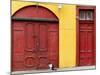 Cat and Colorful Doorways, Valparaiso, Chile-Scott T. Smith-Mounted Photographic Print