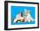 Cat and Dog, Cat Maine Coon and Corgi Puppy-Lilun-Framed Photographic Print