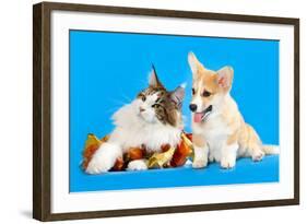 Cat and Dog, Cat Maine Coon and Corgi Puppy-Lilun-Framed Photographic Print