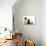 Cat and Dog, Group of Dogs and Kitten  Looking Up-Lilun-Photographic Print displayed on a wall
