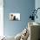 Cat and Dog, Group of Dogs and Kitten  Looking Up-Lilun-Mounted Photographic Print displayed on a wall