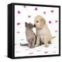 Cat and Dog Kitten and Puppy Nose to Nose with Pink Hearts-null-Framed Stretched Canvas