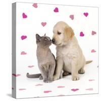 Cat and Dog Kitten and Puppy Nose to Nose with Pink Hearts-null-Stretched Canvas