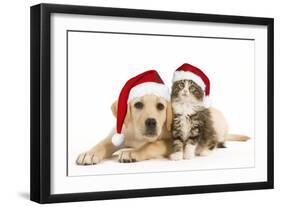 Cat and Dog Labrador Puppy and Norwegian Forest-null-Framed Photographic Print