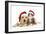 Cat and Dog Labrador Puppy and Norwegian Forest-null-Framed Photographic Print