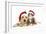 Cat and Dog Labrador Puppy and Norwegian Forest-null-Framed Photographic Print